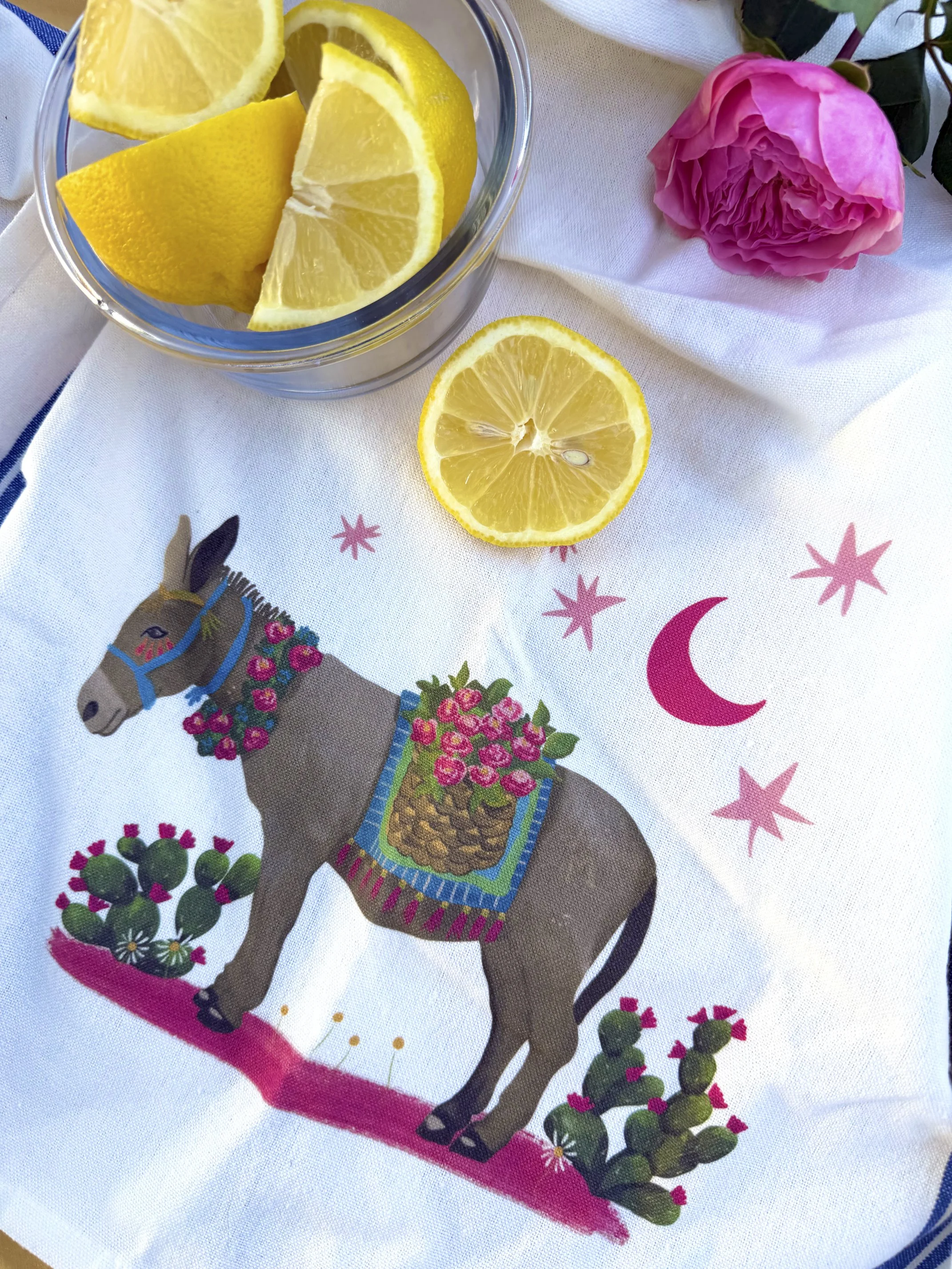 Blue Stripe Donkey Tea Towel