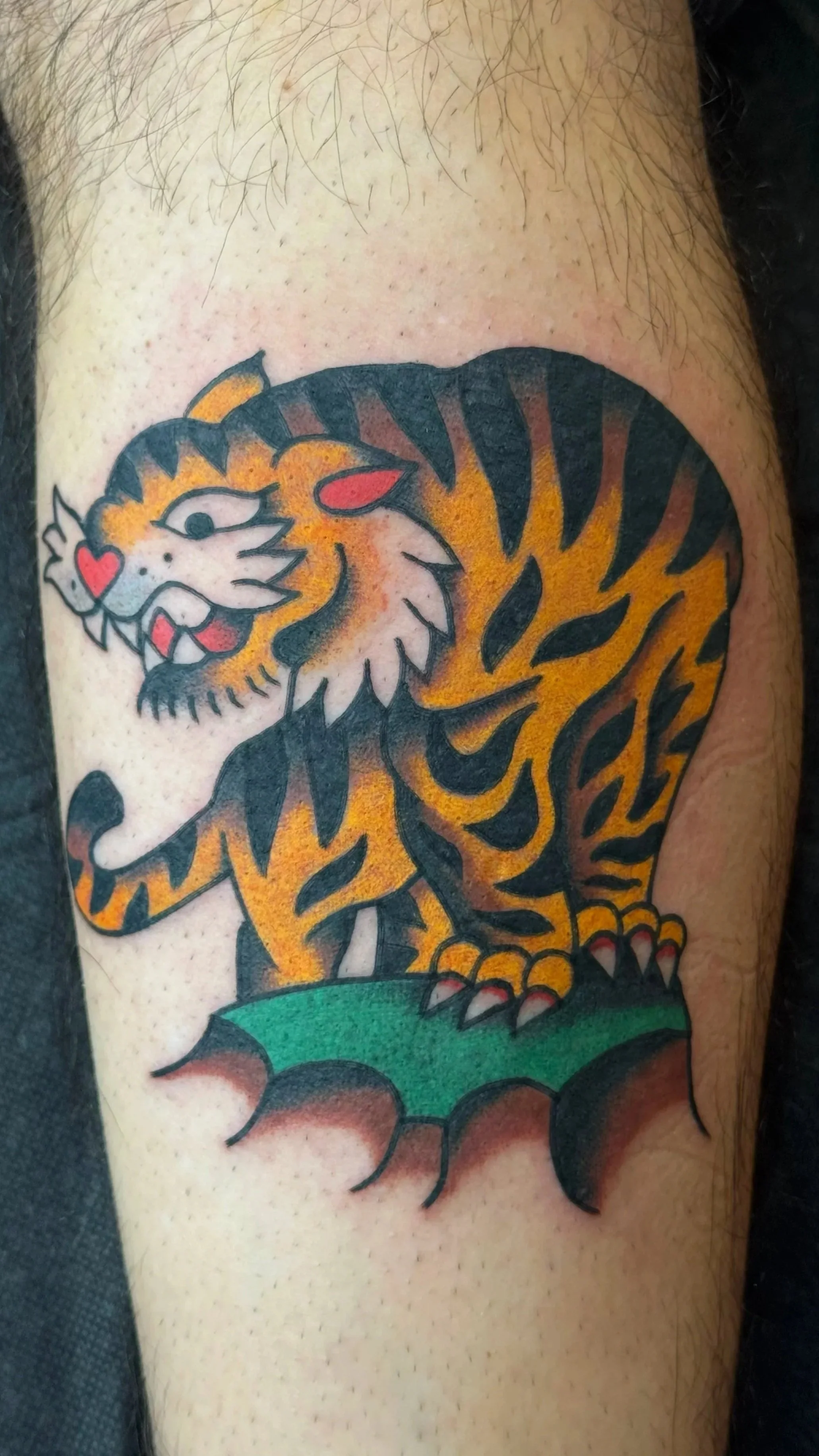 Tattoo of a fierce tiger with orange and black stripes, sitting on a green patch, with its mouth open showing sharp teeth, and a red heart on its cheek.