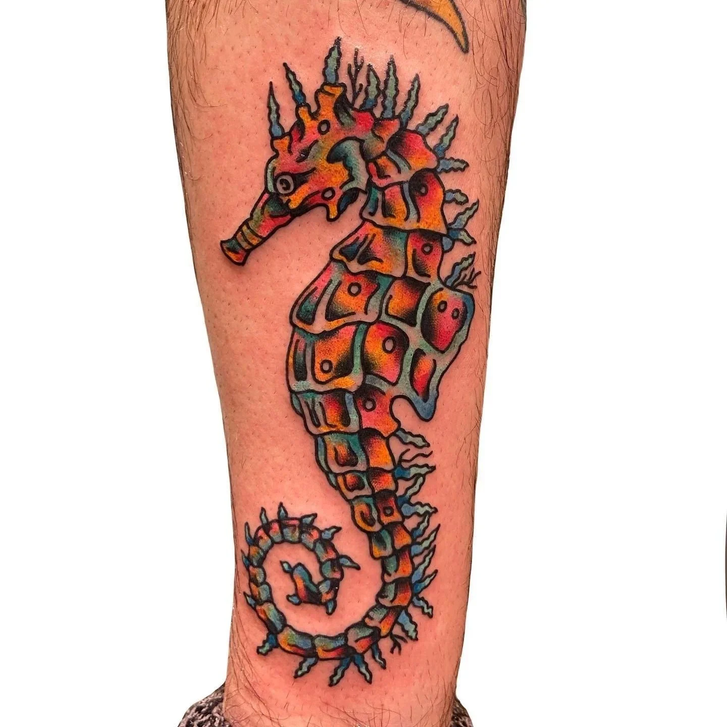 Colorful tattoo of a seahorse with spiky fins and a curled tail on a person's lower leg.