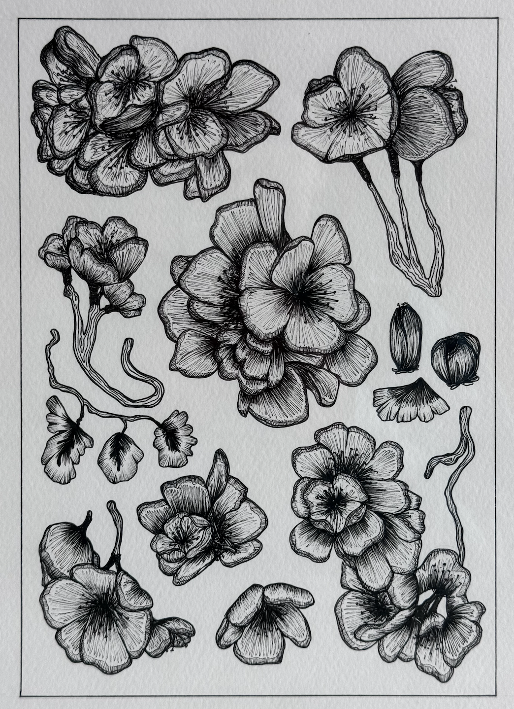 Screenshot 2026-01-01 at 4.58.00 PM.png