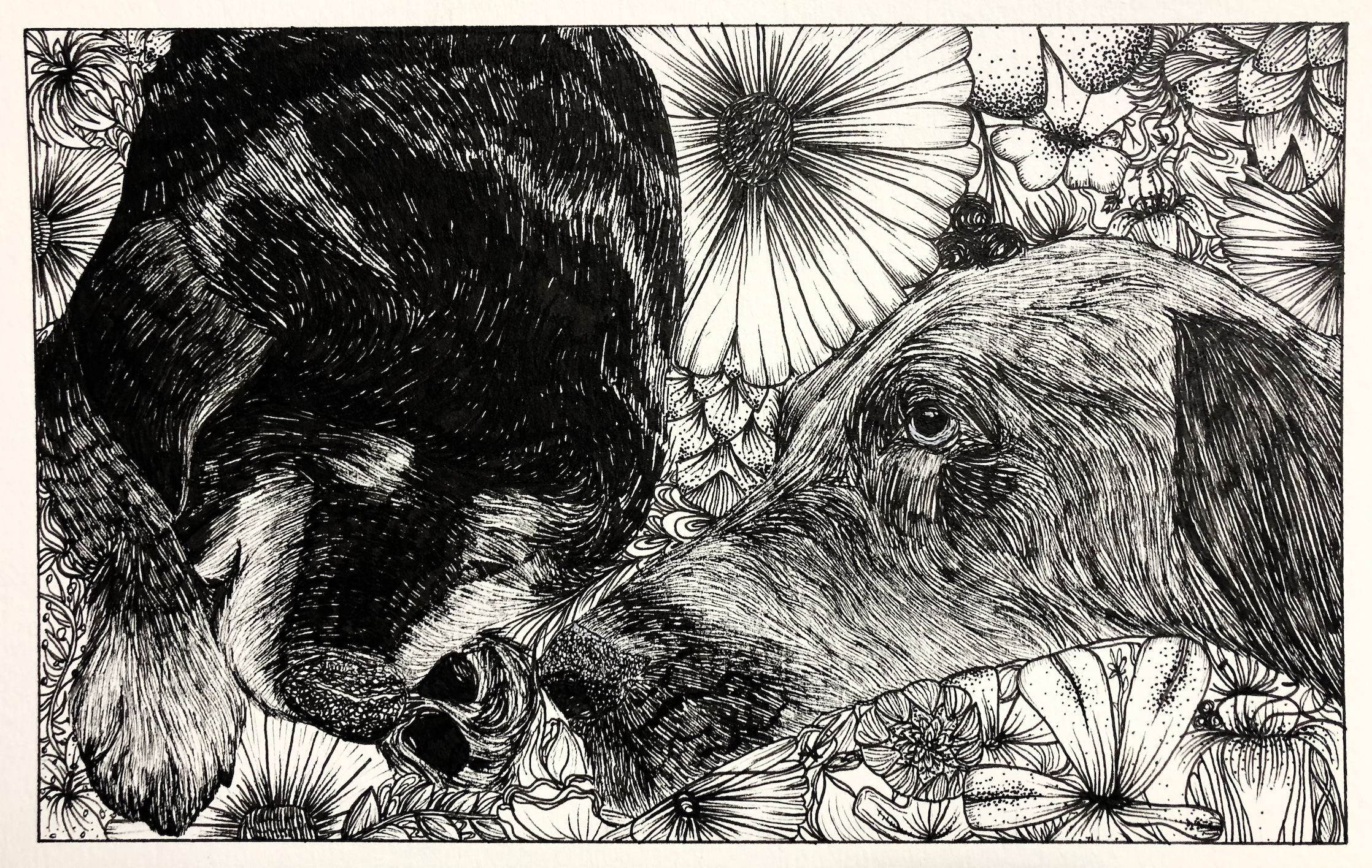 Screenshot 2026-01-01 at 5.01.20 PM.png