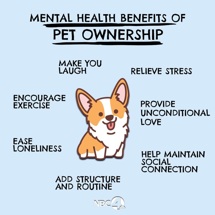 pet-ownership.jpg