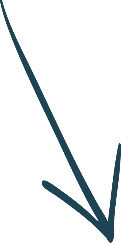 A black silhouette of a leaping or jumping cat with a long tail and pointed ears.