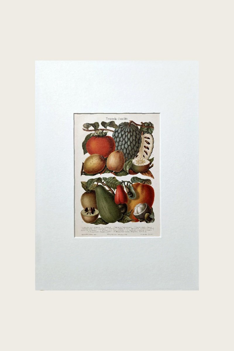 Tropical Fruits