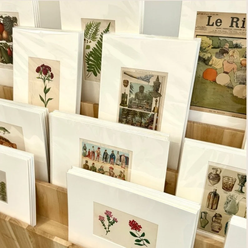 Matted original antique botanical and cultural prints, presented with conservation-quality care – In Arcade Gallery Ponsonby Auckland