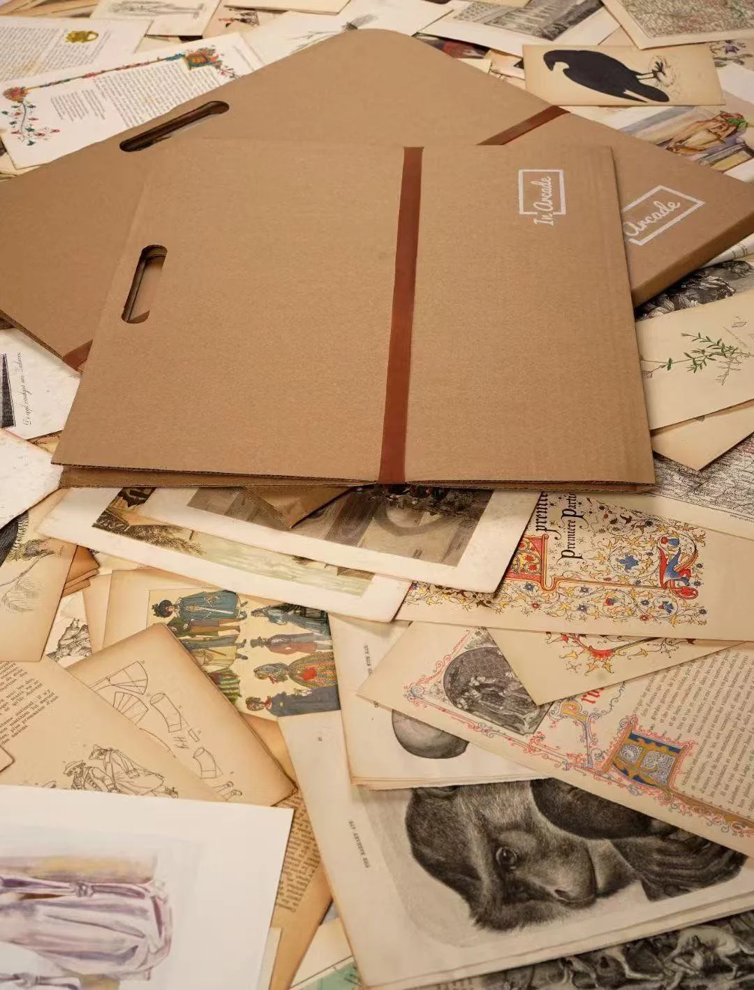 Curated mystery box of original antique prints, featuring rare botanical, natural history and European engravings – In Arcade Gallery New Zealand