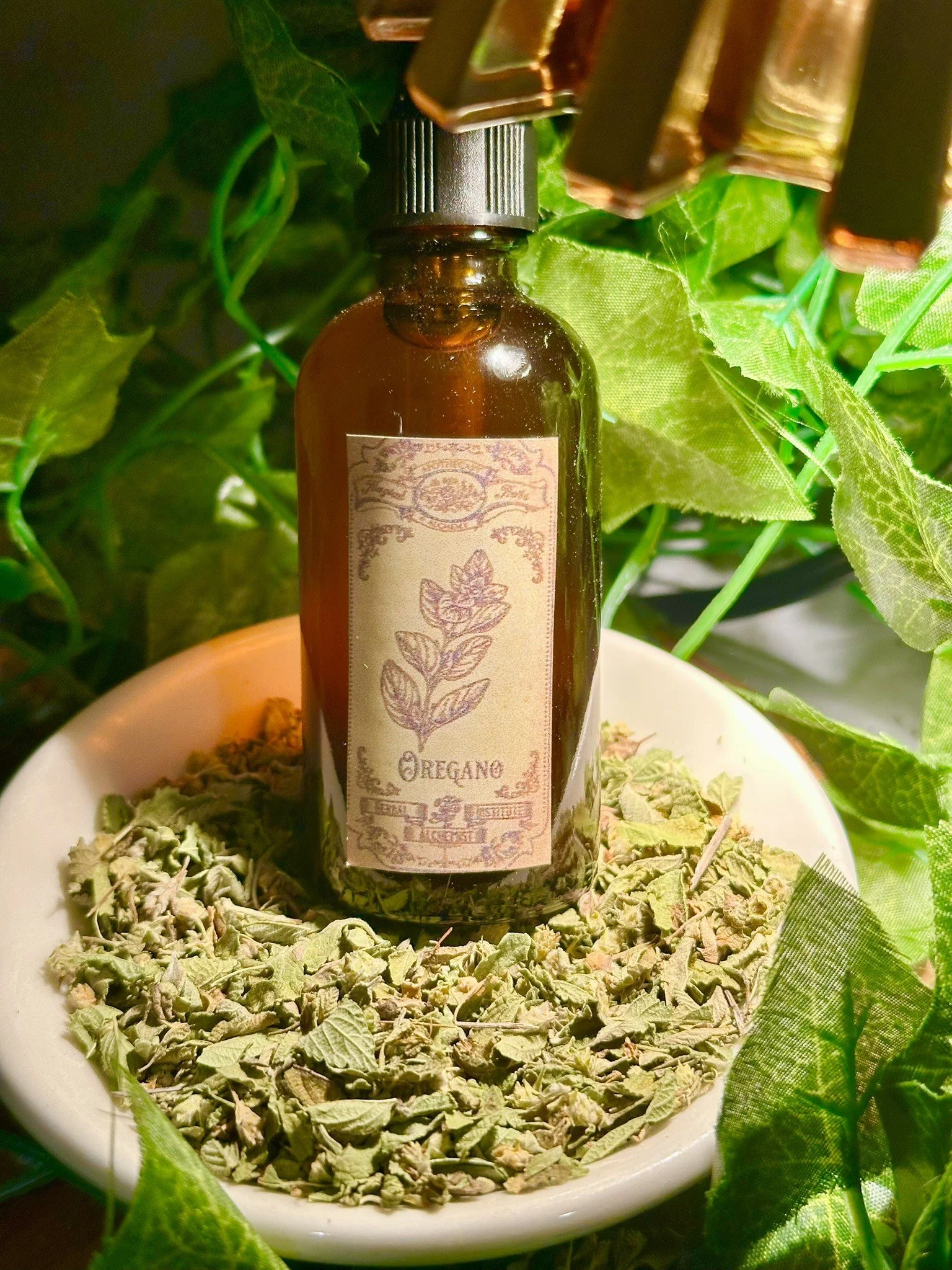 Oregano.JPEG