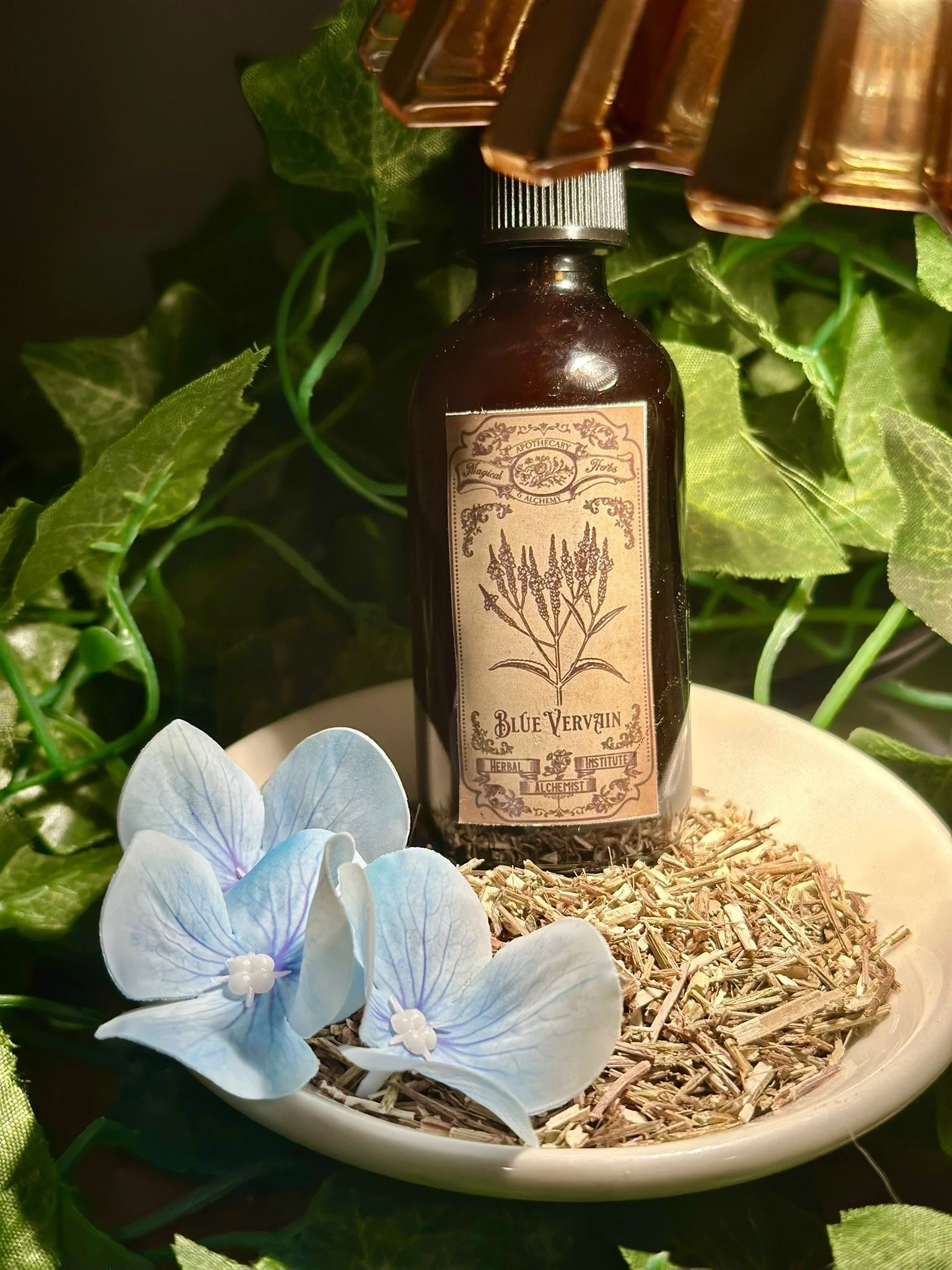 Blue Vervain.JPEG