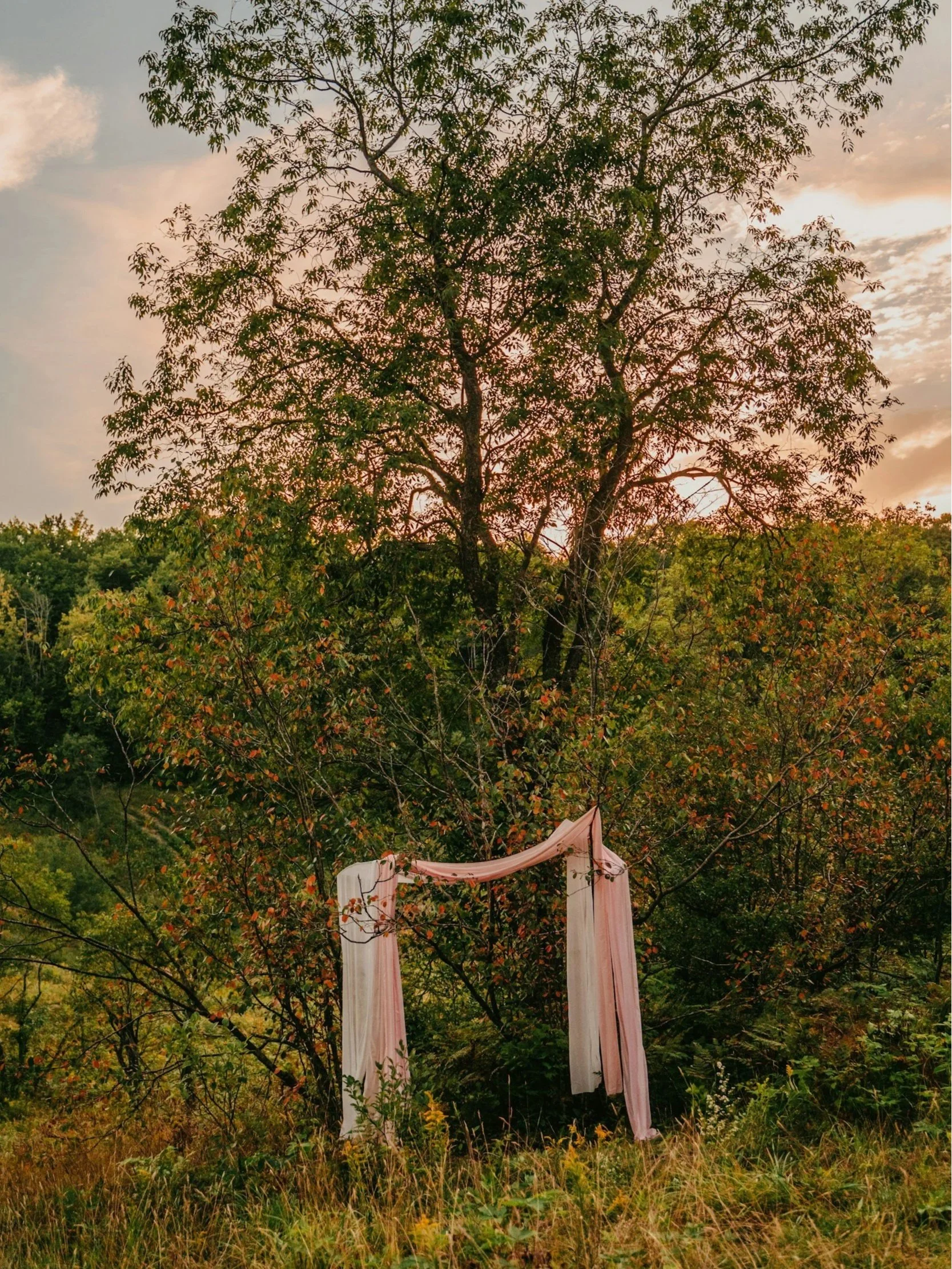 Elopement in New Zealand
