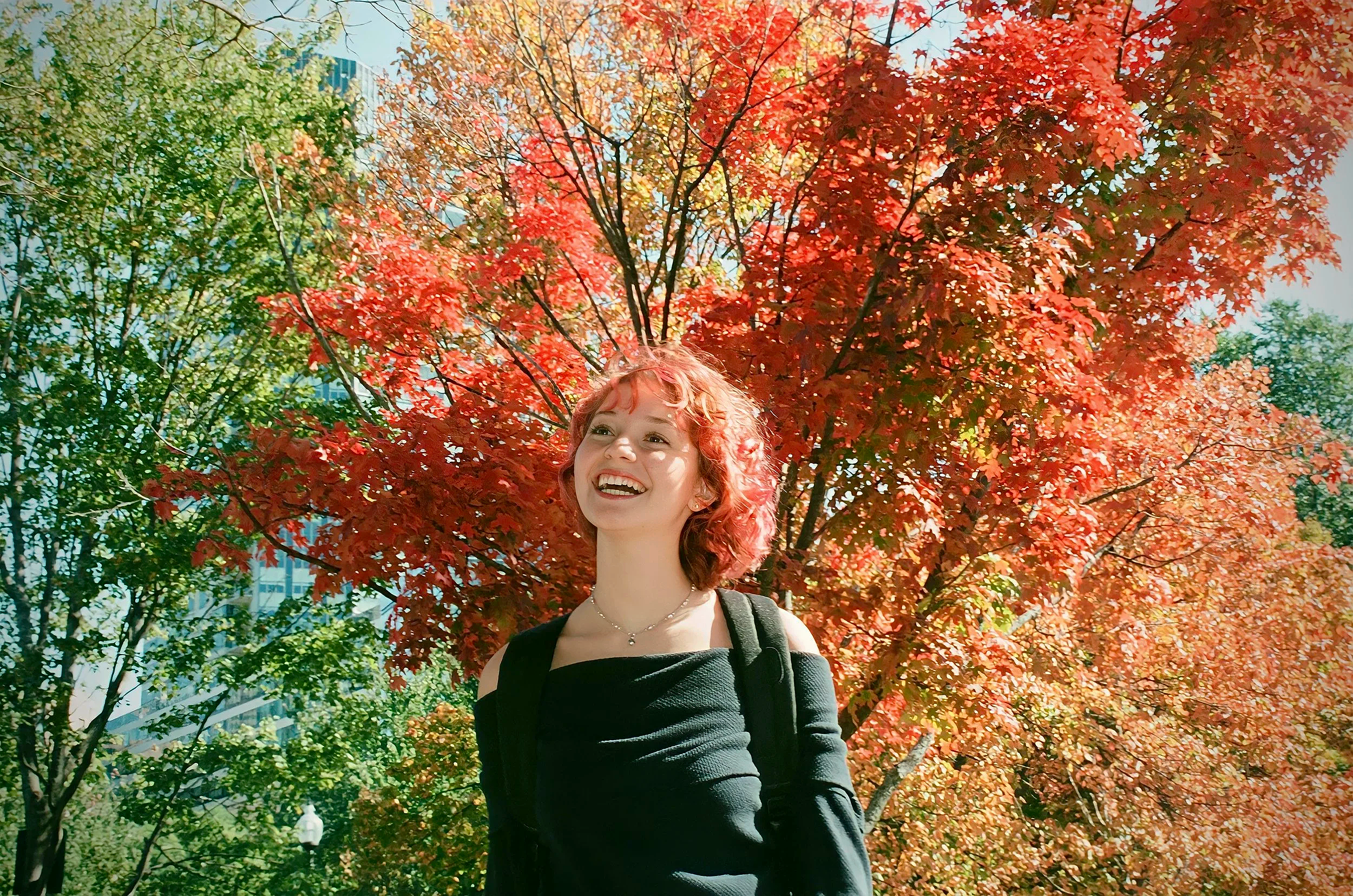 IMG_4991.png