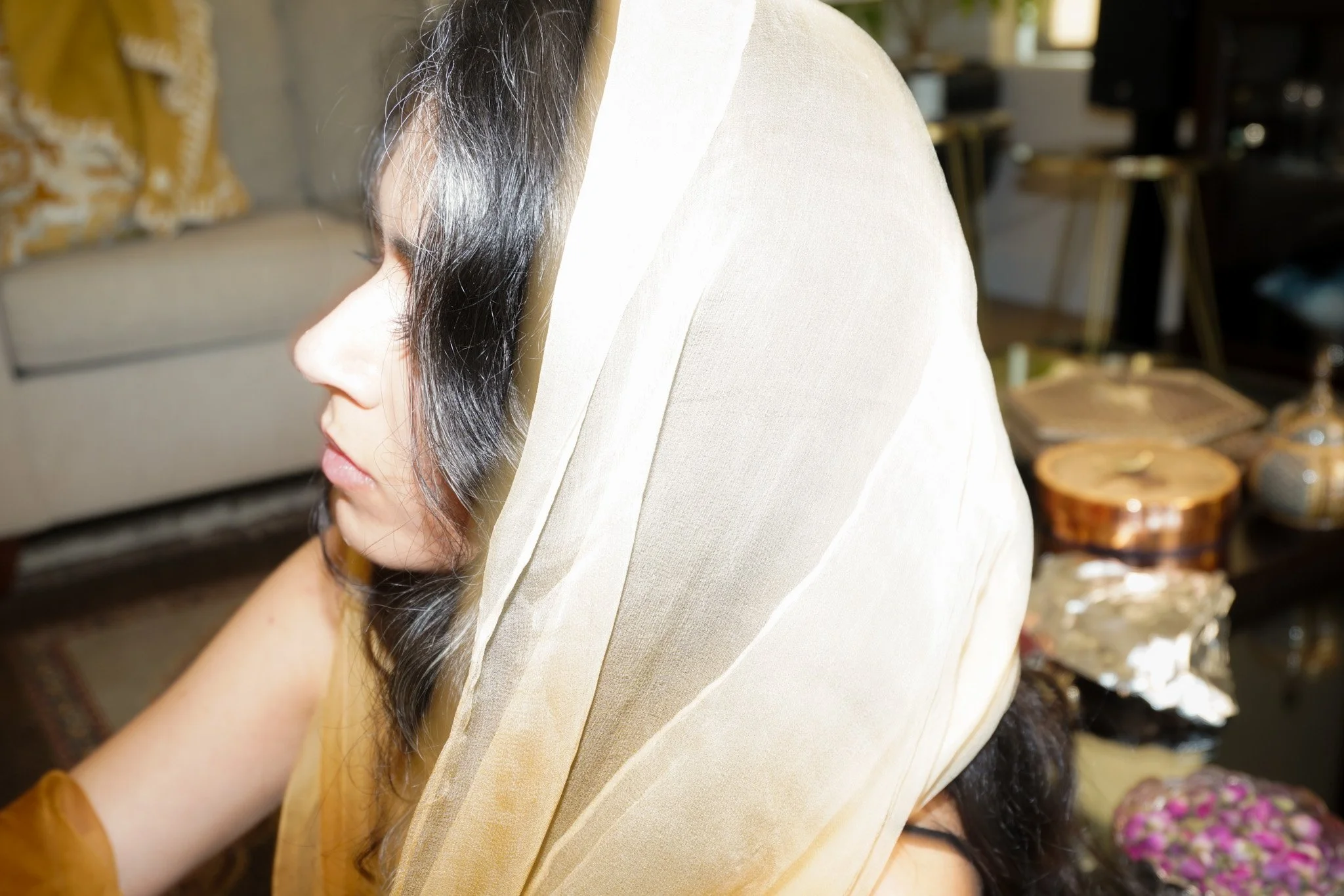 Persian Vices-3.jpg