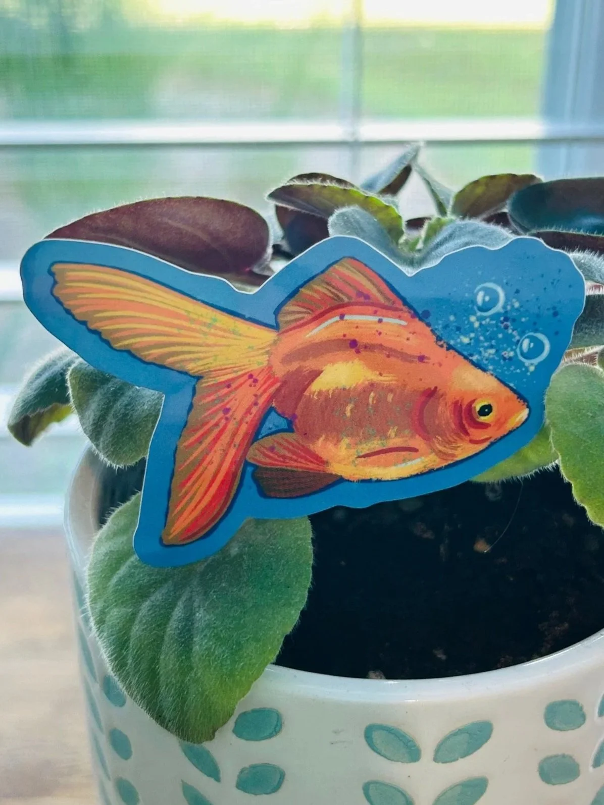 goldfish3.jpg