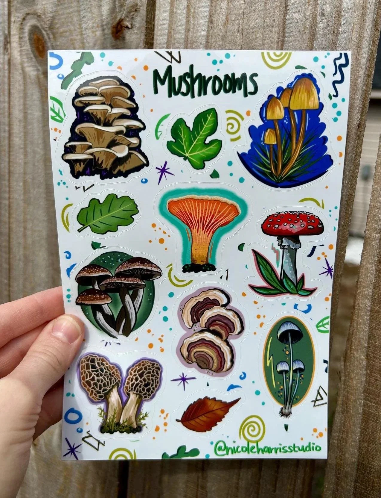 mushroom+sticker+pack.jpg