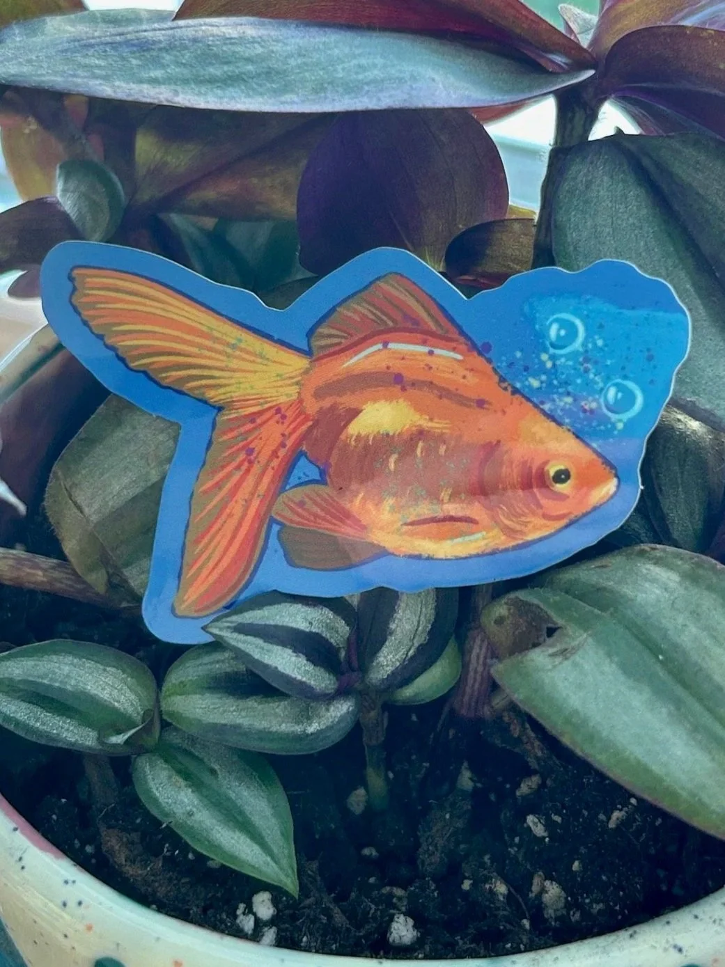 goldfish5.jpg