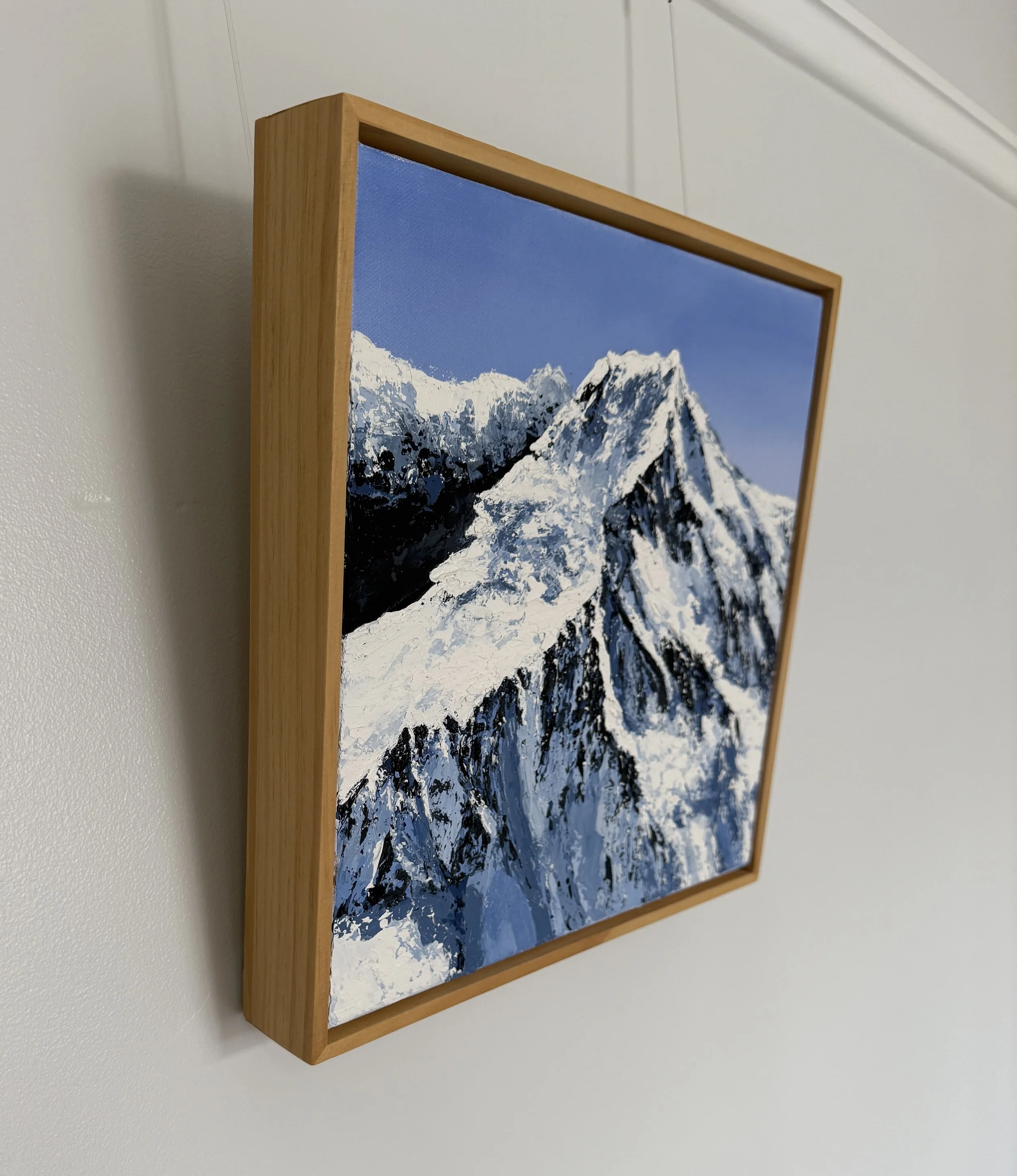 Snowy Slopes Lside.JPG