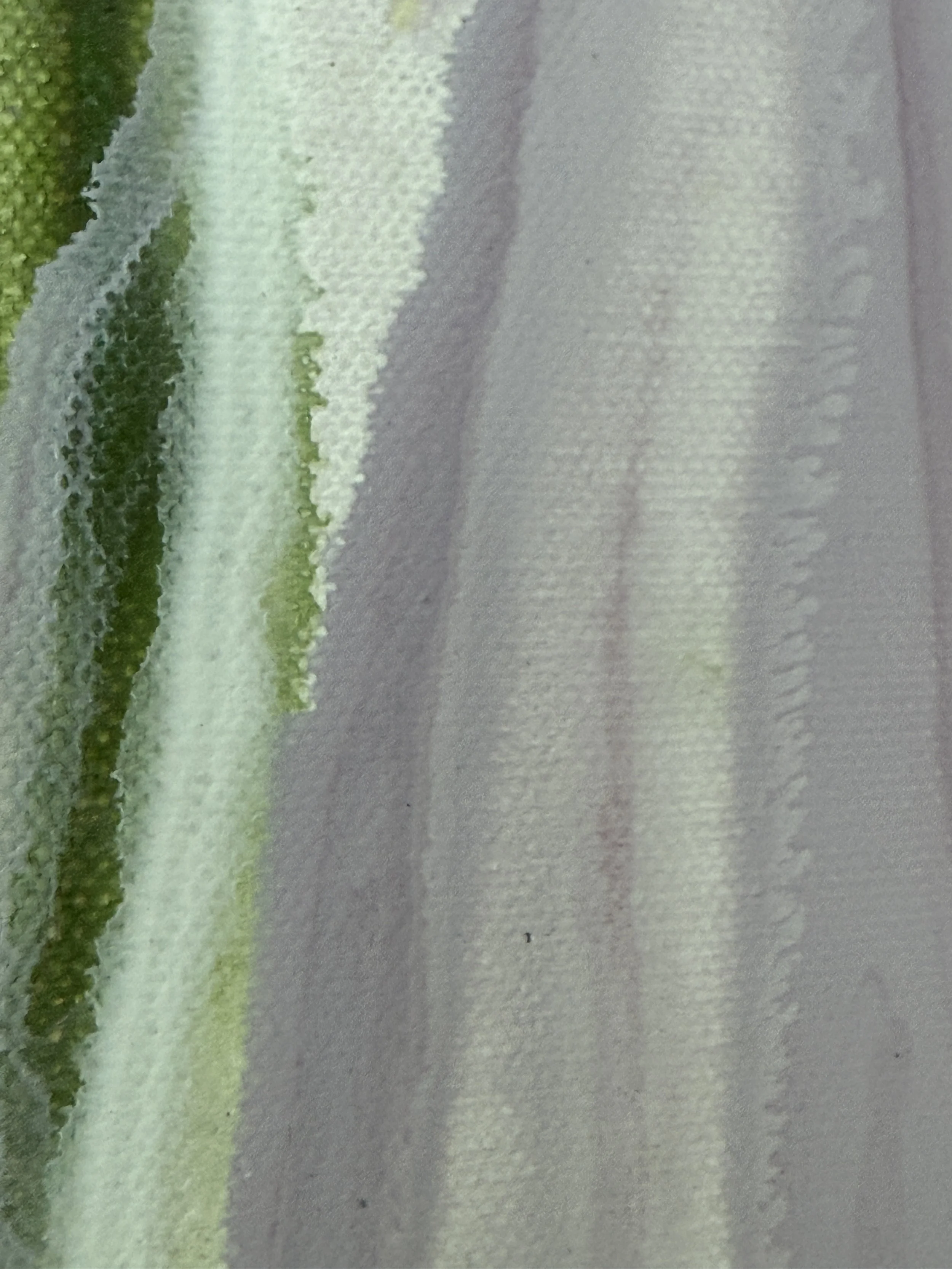 Becoming Light detail2.jpg