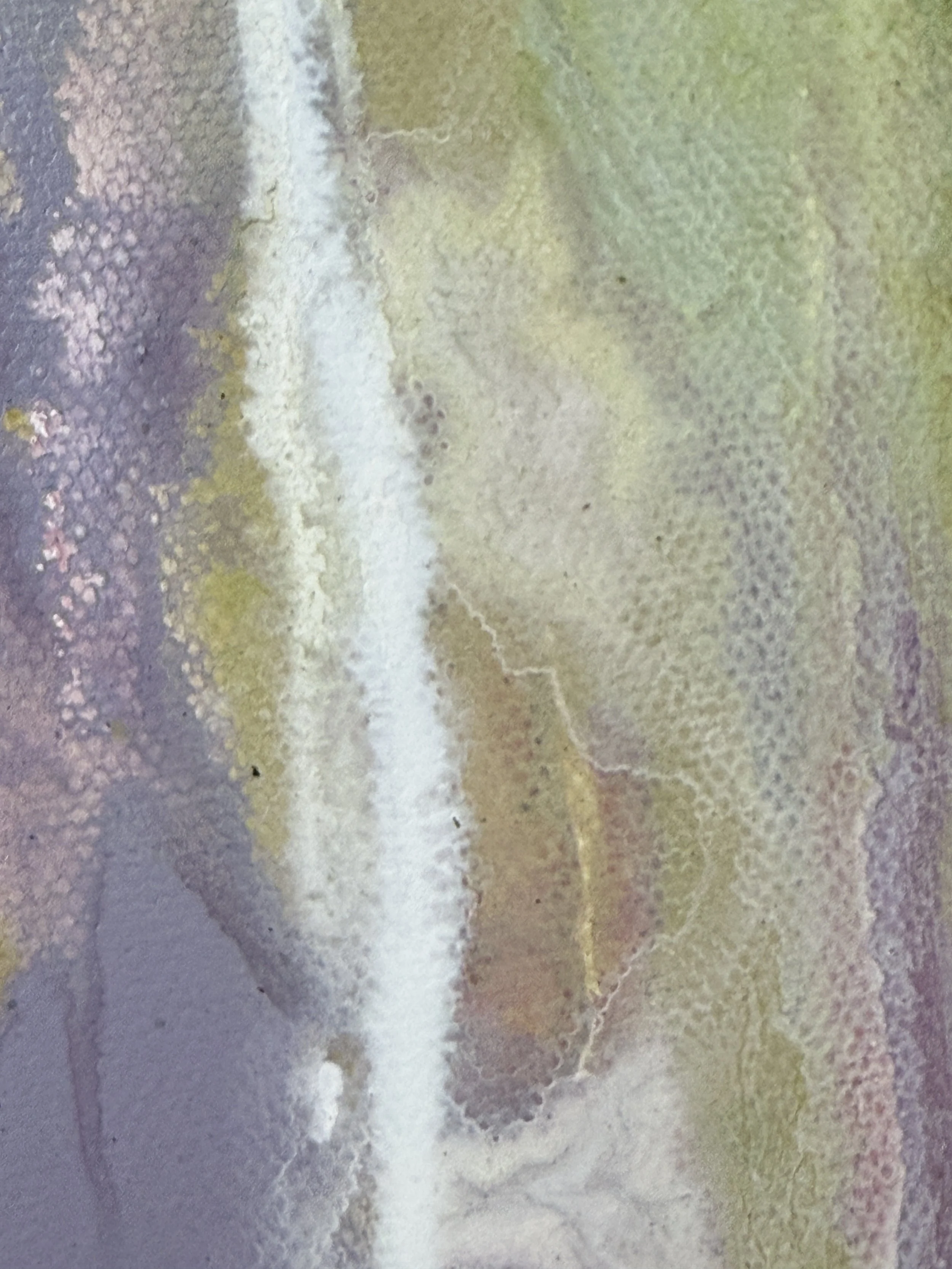 Whispering Earth detail2.jpg