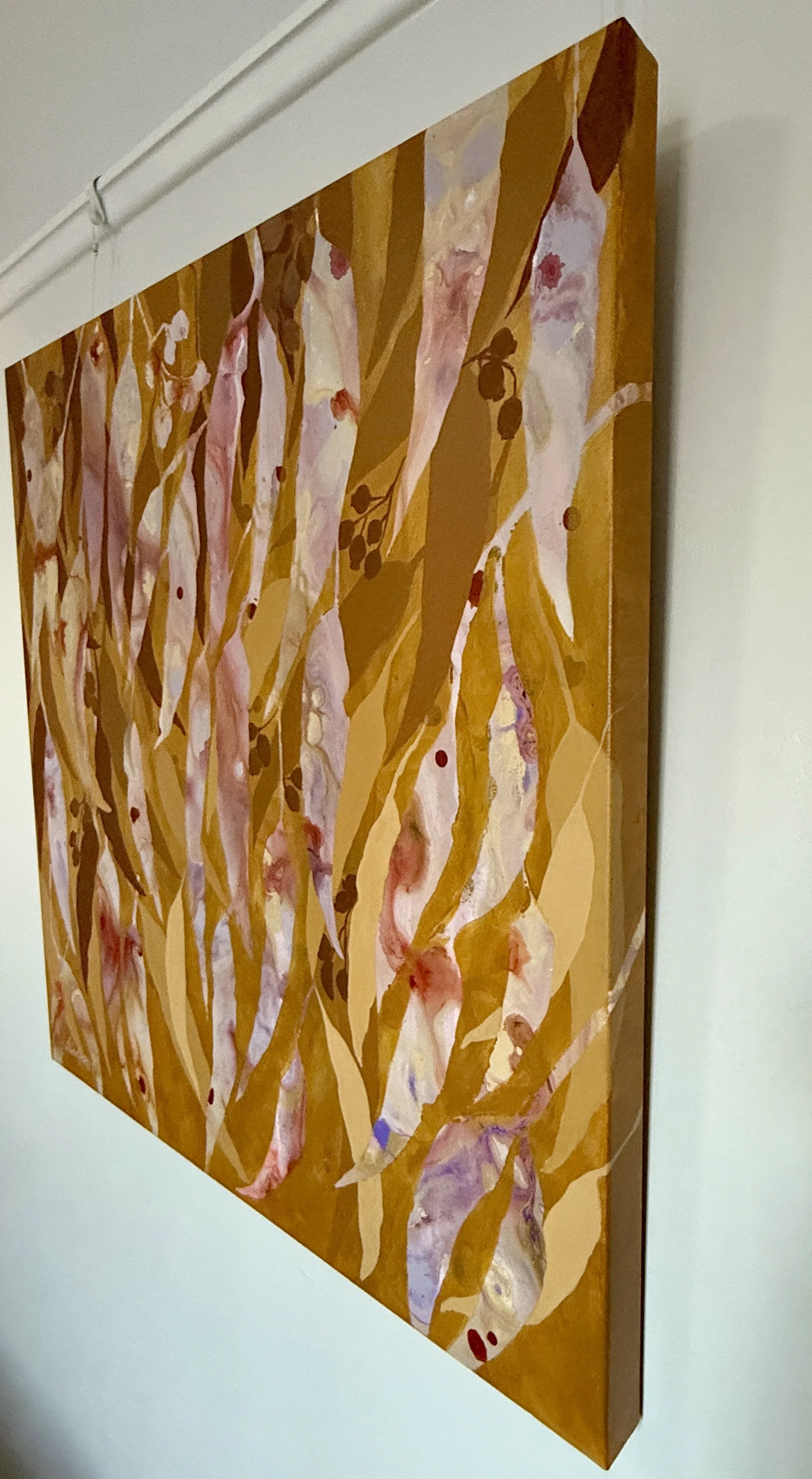 Eucalypt ochre Rside.jpg