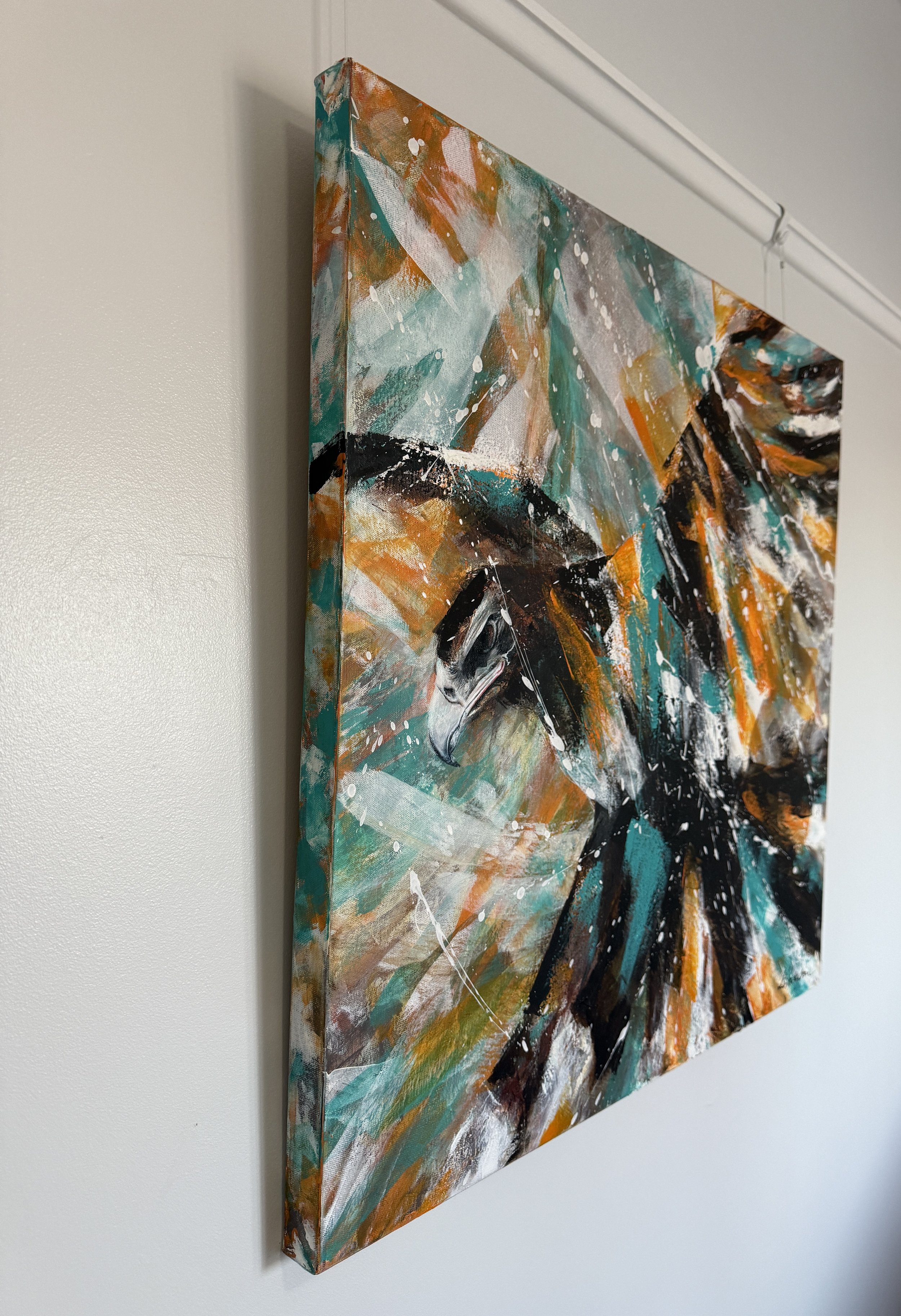 Wedge-tailed eagle L side.jpg