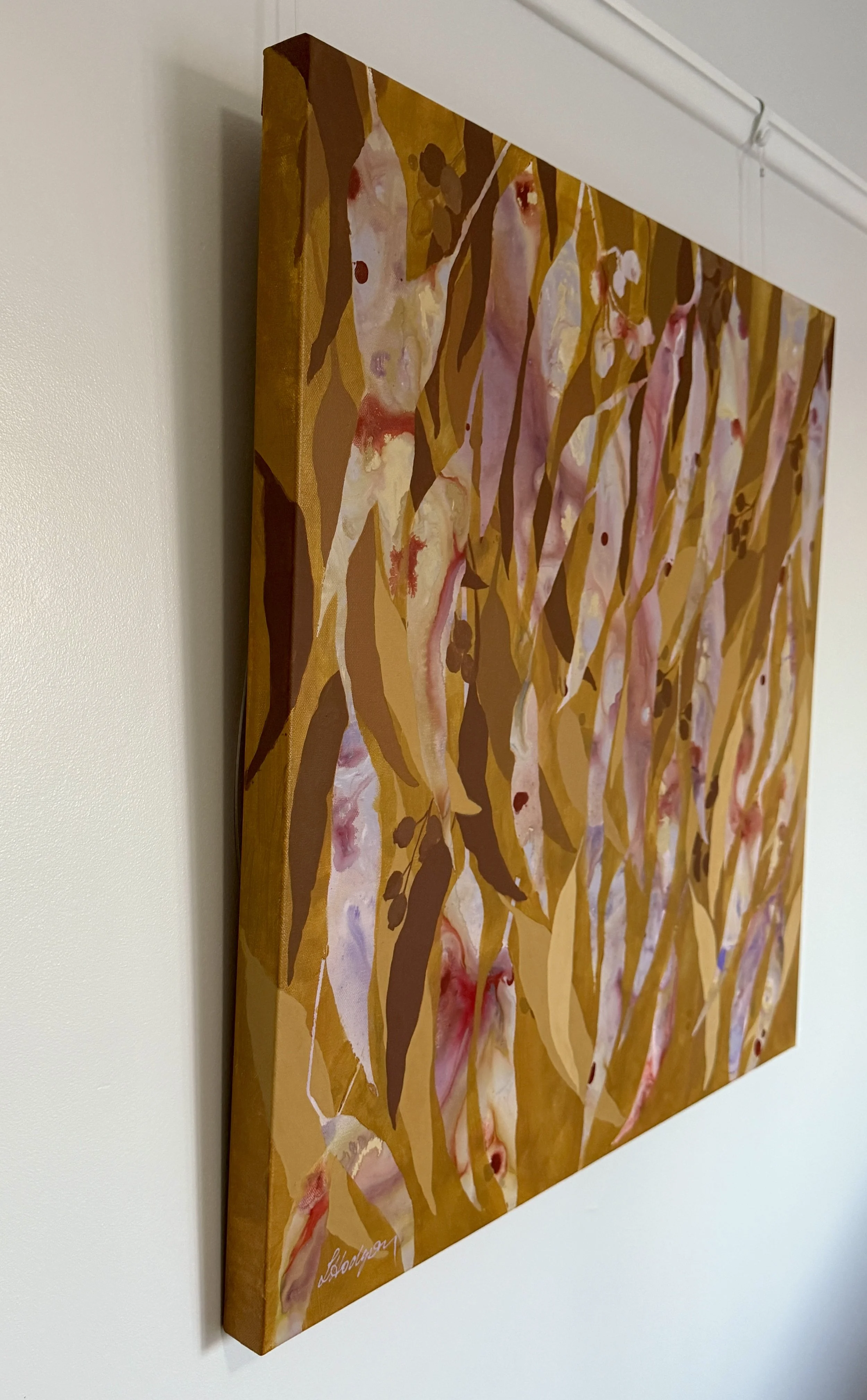 Eucalypt ochre Lside.jpg