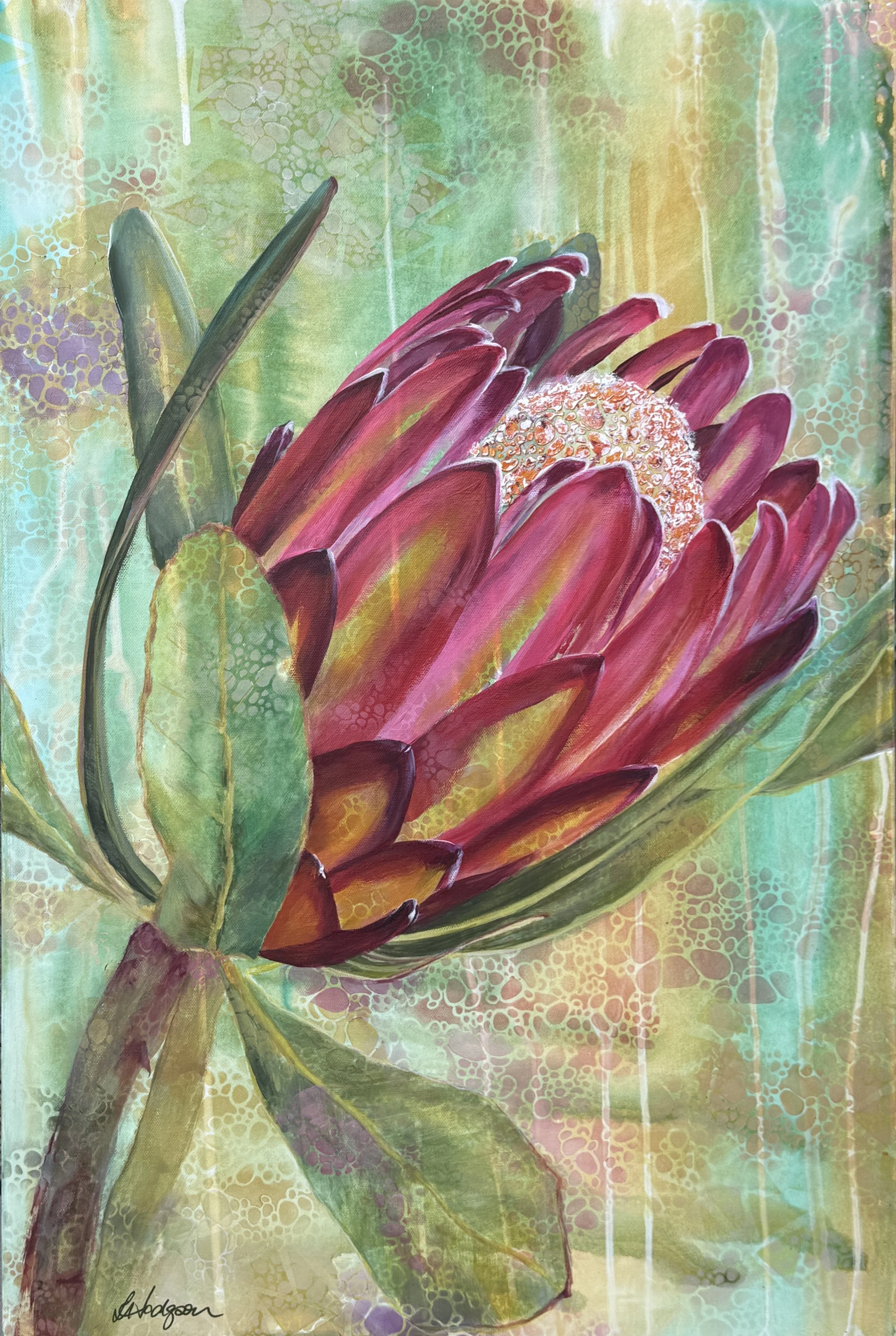 Protea - a fragile strength
