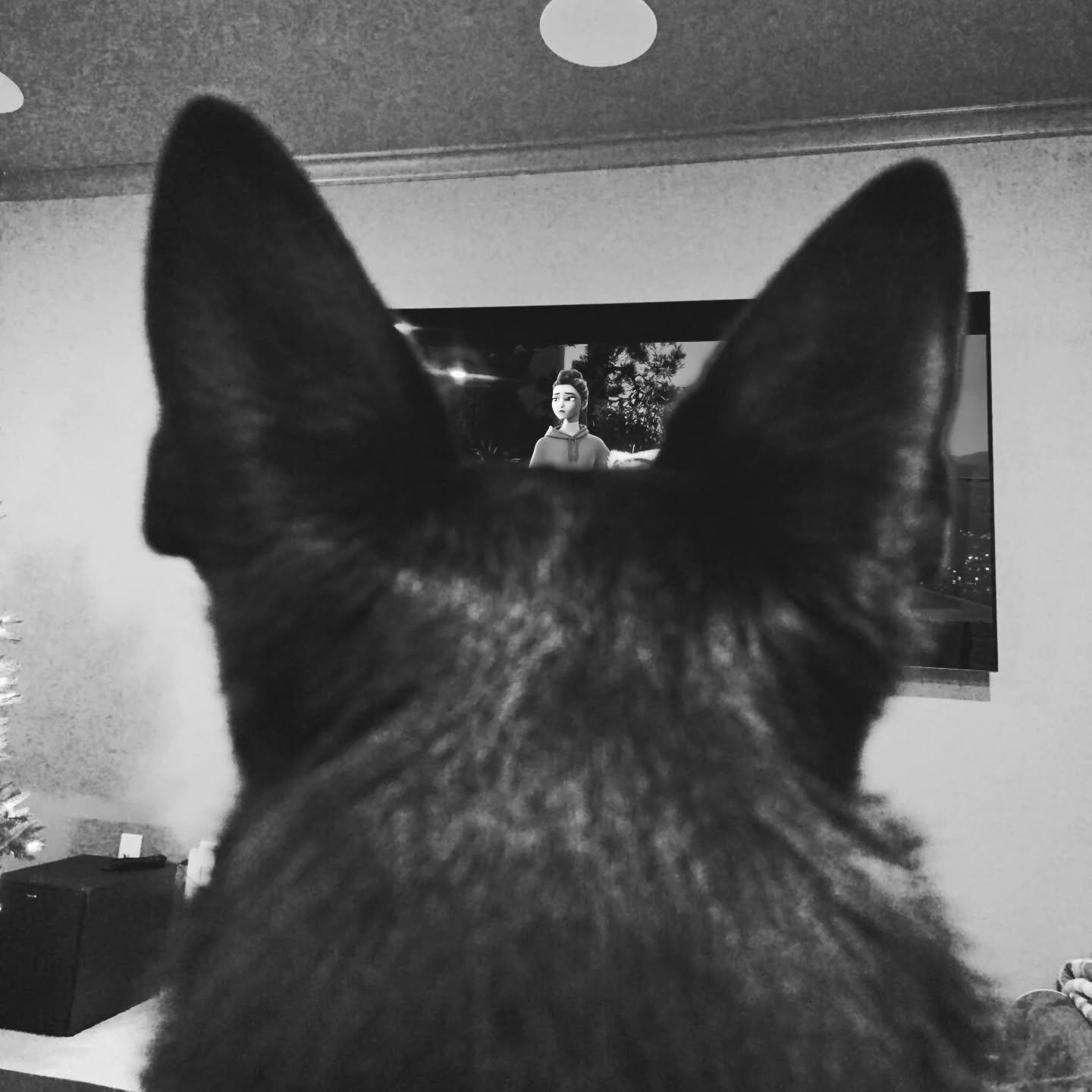 #movienight with Eze &amp; Quest 🎬🎶😈🏹

#pov #saturday #weekend #dogsitter