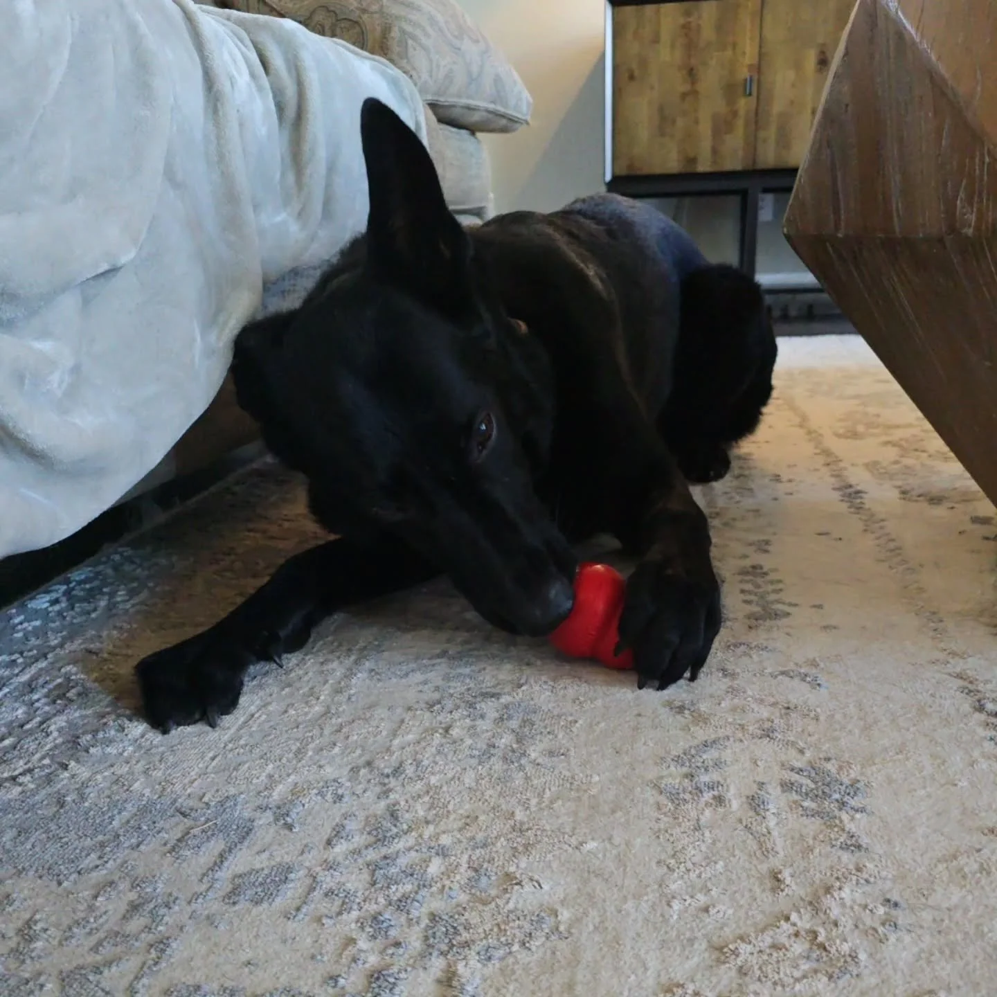 Saturday! Saturday! Saturday!