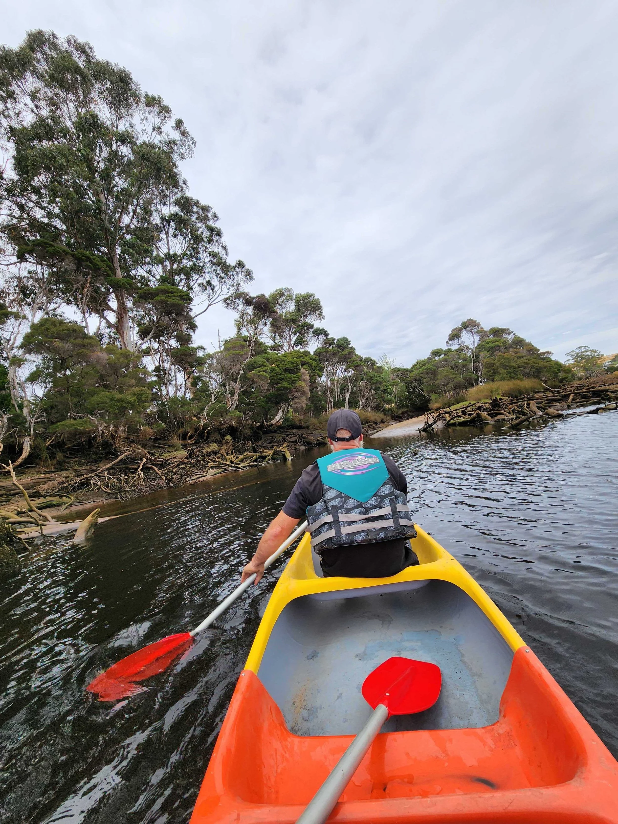 Choice Support Plus | NDIS Support Services
