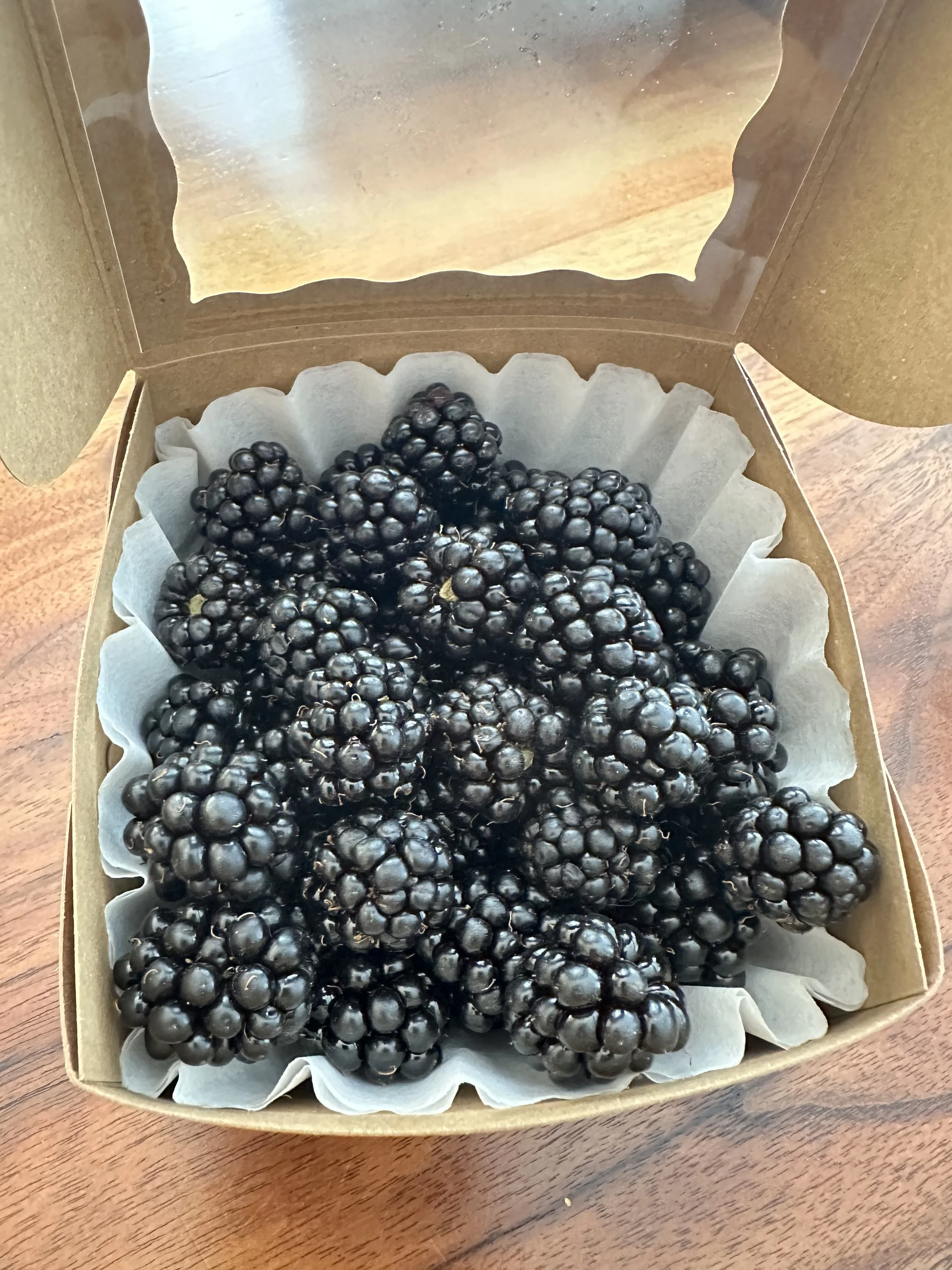 Blackberries - 8 oz