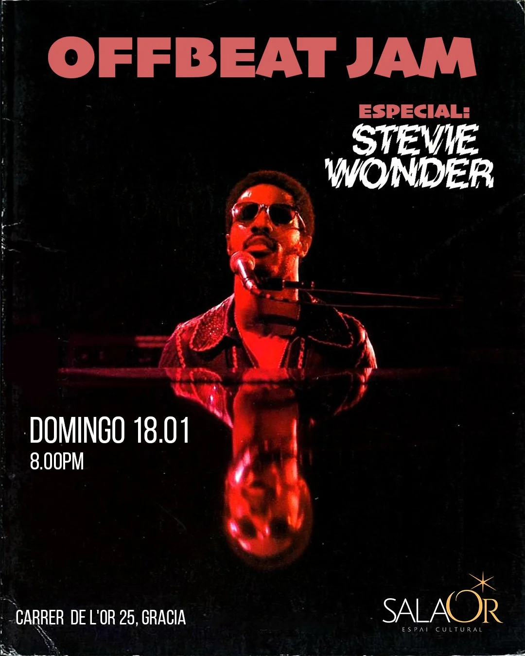 Steve wonder.jpg