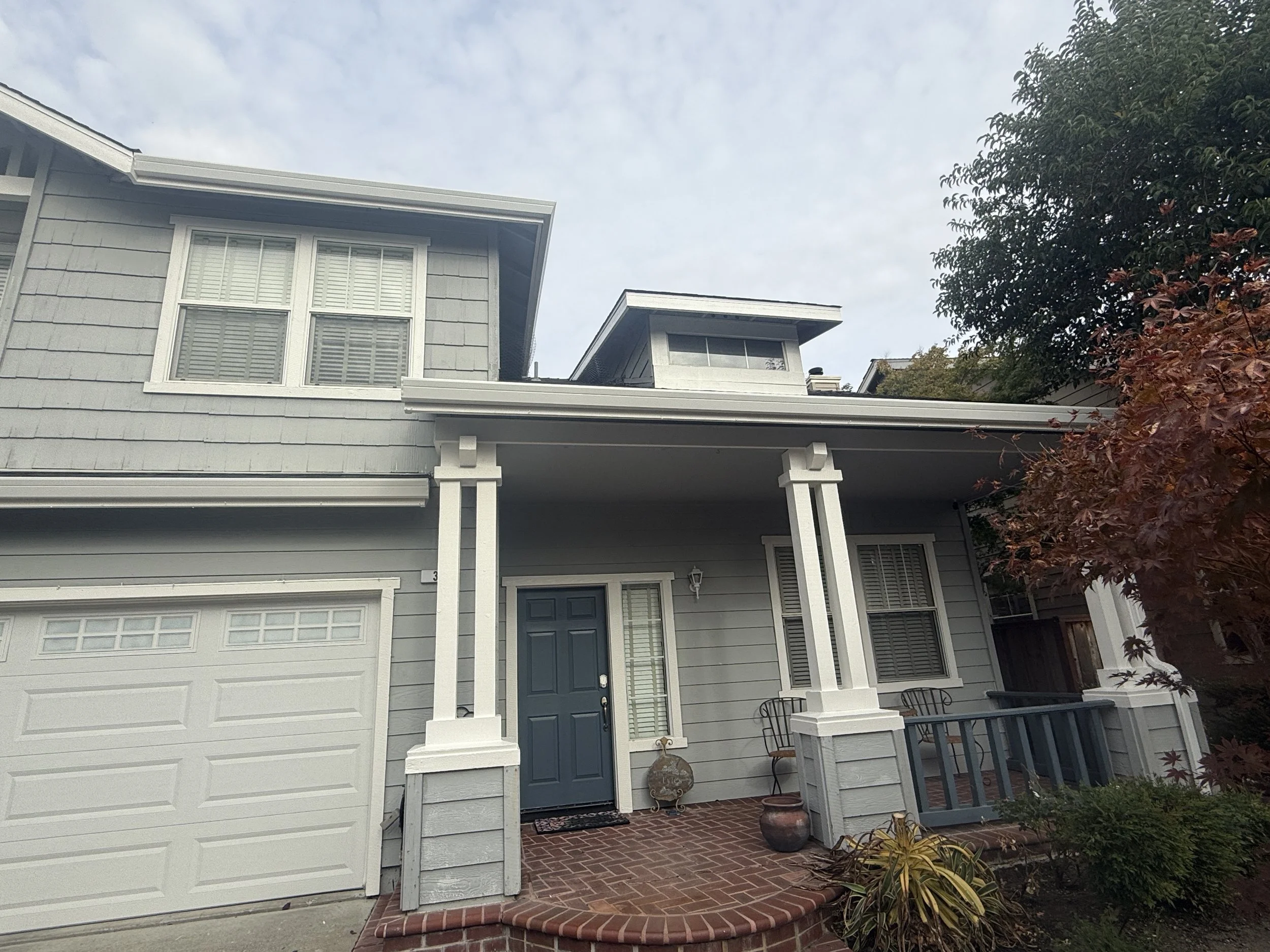 prees-professional-painting-exterior-19.jpeg