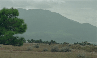 BURBERRY_LNY_DC ins1.gif