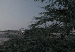 The new 7 DC 11.gif