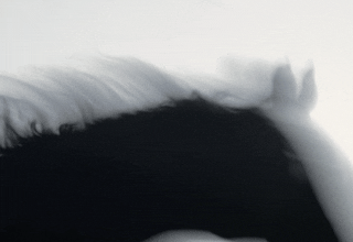 INSTA Polestar- phone-dir 10.gif