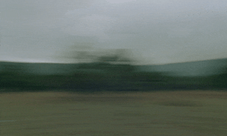 BURBERRY_LNY_DC 4.gif