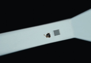 Lancome DC h264 6.gif