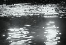 Goretex ins 7.gif