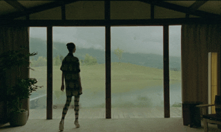 BURBERRY_LNY_DC 2.gif