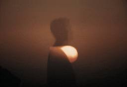 The new 7 DC 4.gif