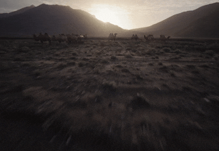 X5 DC FULL gif 6.gif