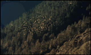 BBR HERO H264 CLEAN  3.gif