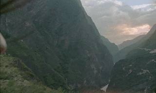 BURBERRY_LNY_DC 9.gif