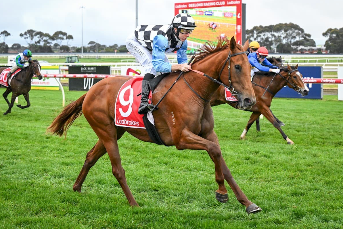 Excitement builds at Bell River as family’s filly takes flight