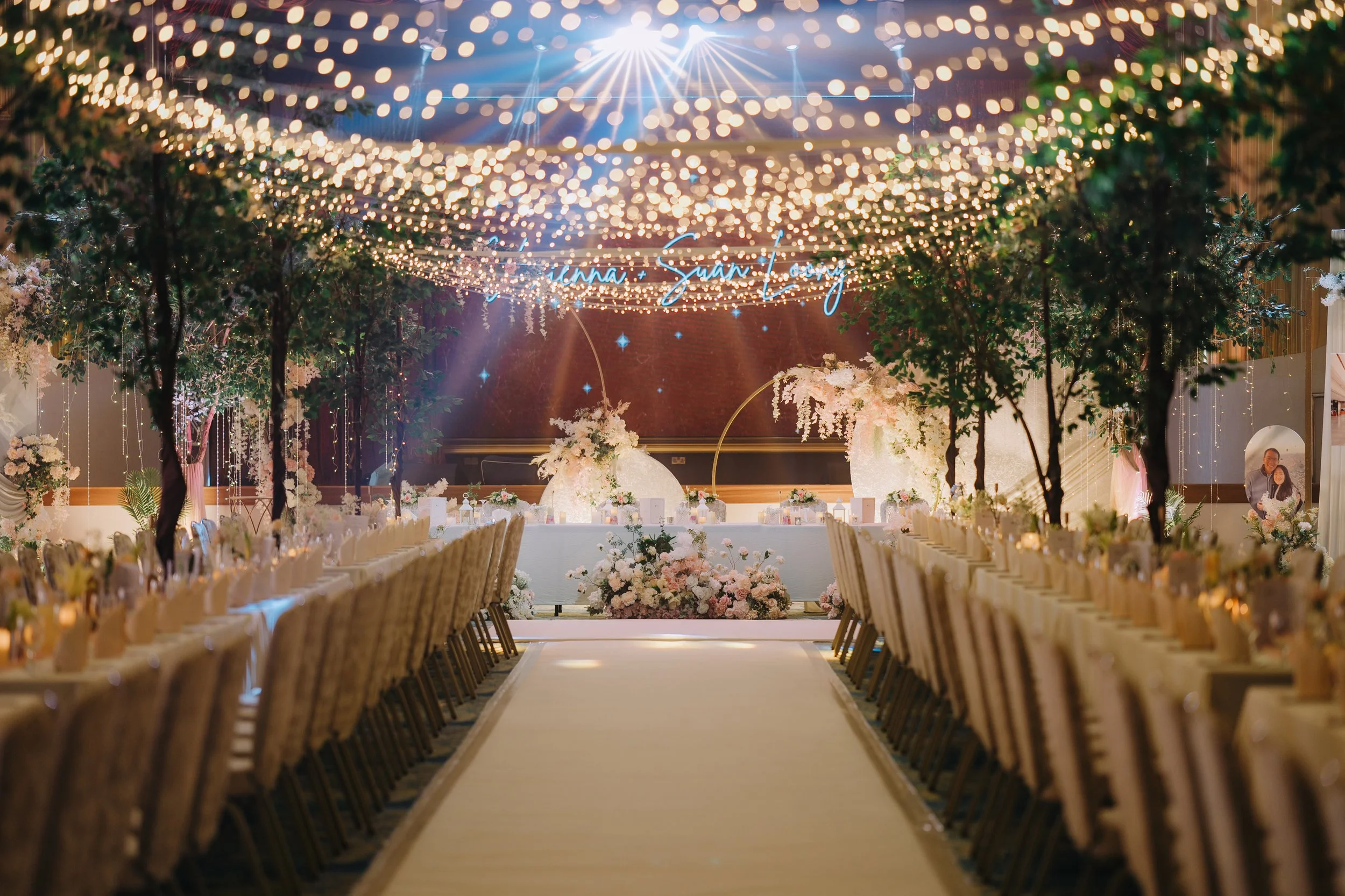 Walkway Aisle Fairylight canopy.jpg
