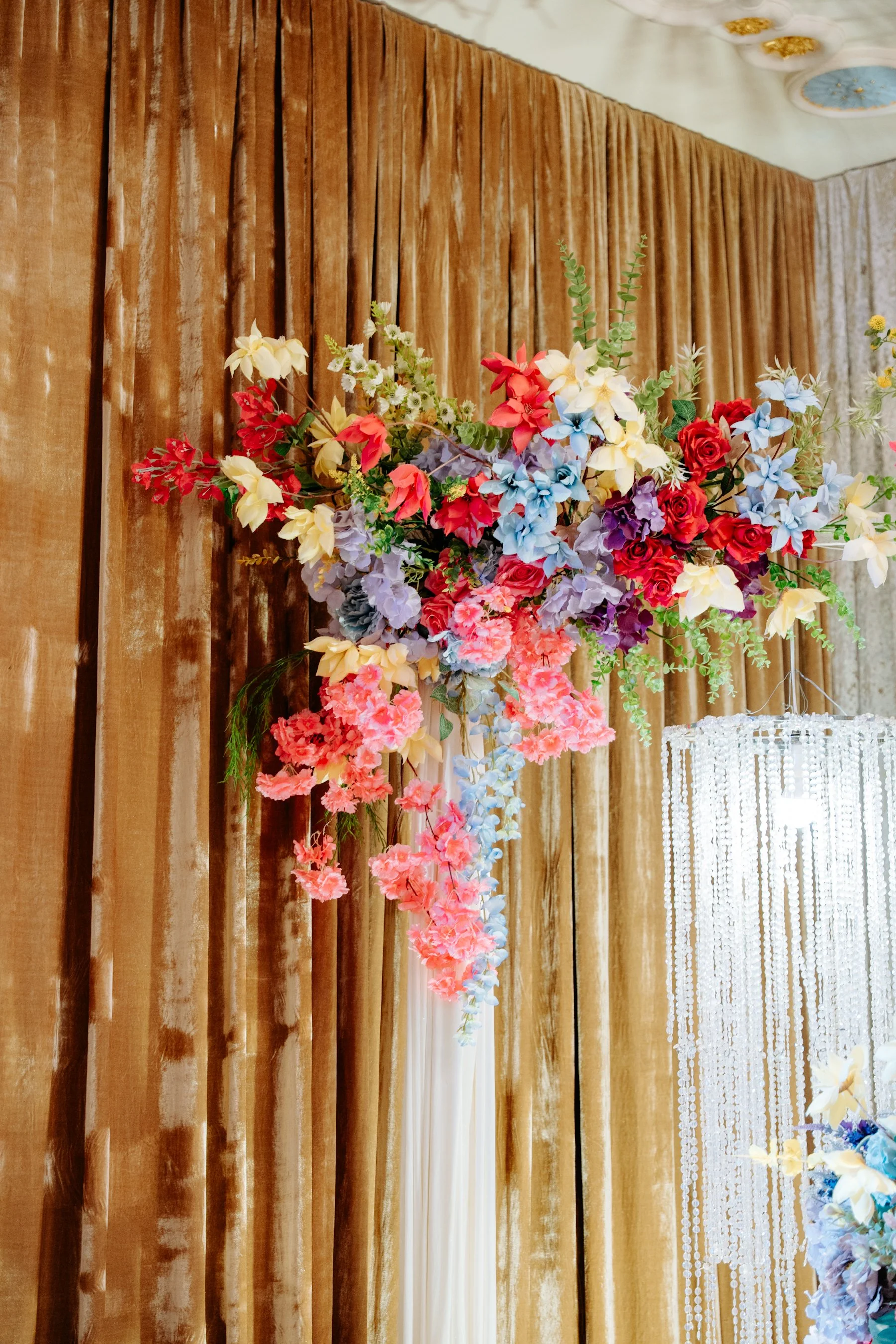 IMG-113.jpg