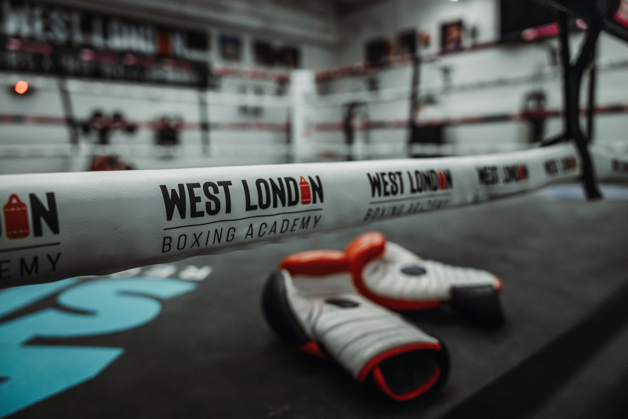 West London Boxing--11.jpg