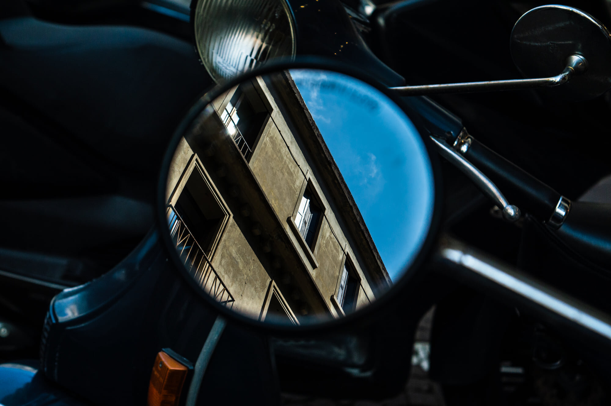 © Jade Borda - Camera Settings - f 5.6 - 1/1250th Second - 55mm focal length.