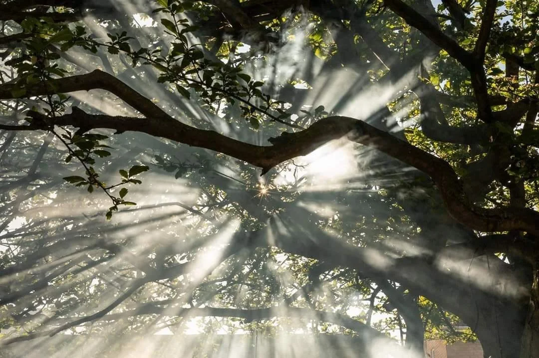 © Jerry Keeble - Great use of the smoke coming up from the barbecue