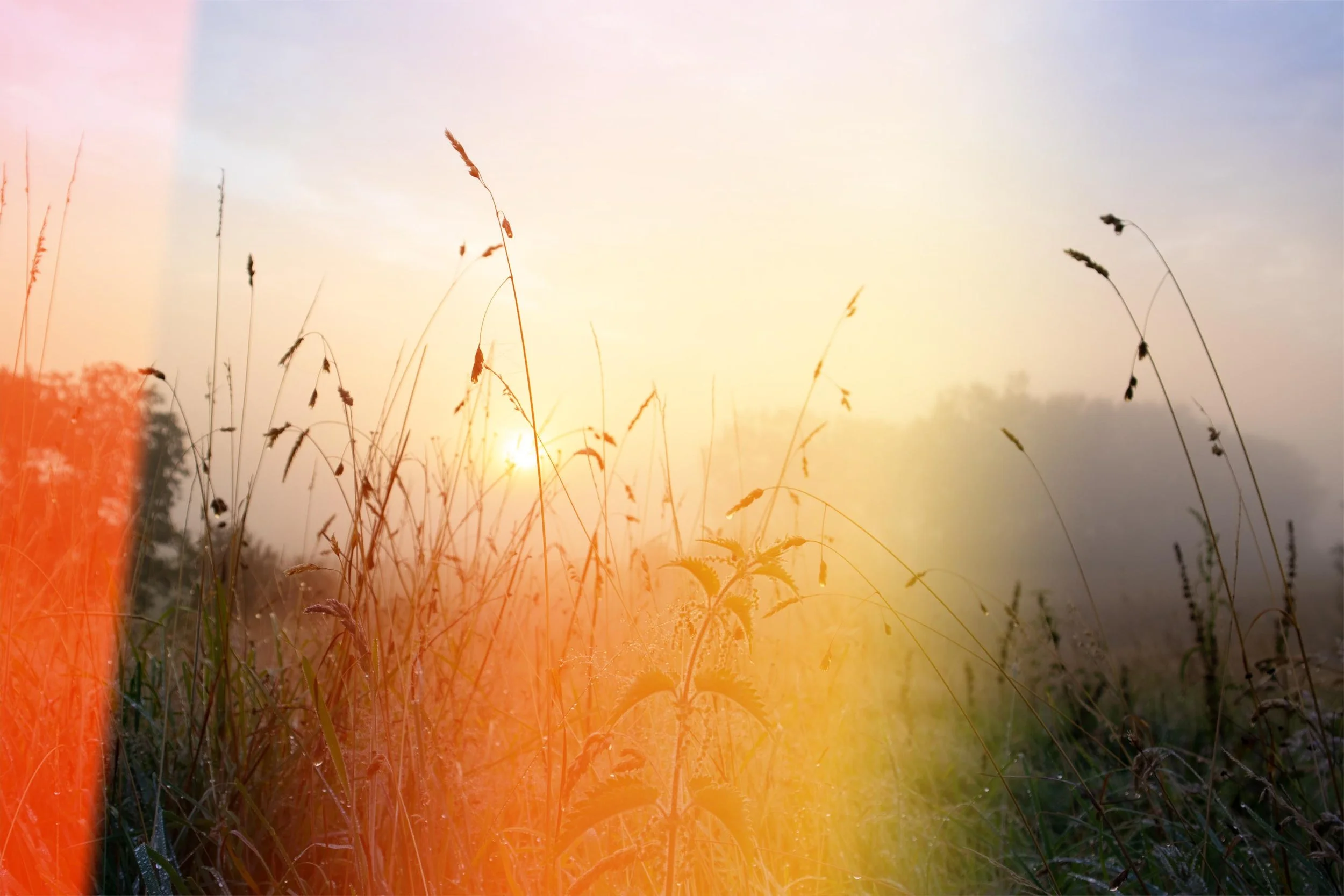 Photography Light Leak Overlays 50 Free High Res and how to use