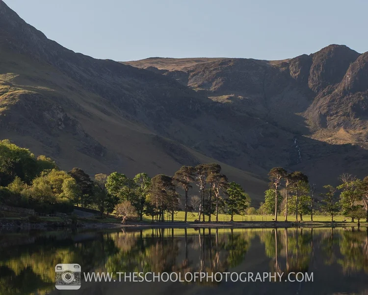 Full Frame Photo Example Full Frame vs APS-C (APSC vs Full Frame) – Which Sensor Is Best?